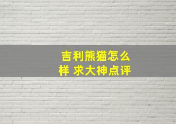 吉利熊猫怎么样 求大神点评